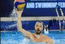 Dedovic_Nikola_.jpg