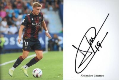 Kliknij aby zobaczyć pełny rozmiar