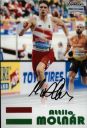 Molnar_Attila1.jpg